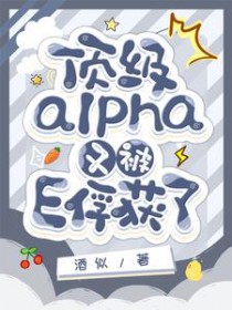 被顶级alpha捡回家之后